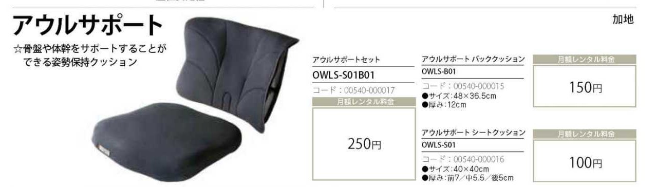アウルサポート バッククッション OWLS-B01 - 通販 - escopil.co.mz